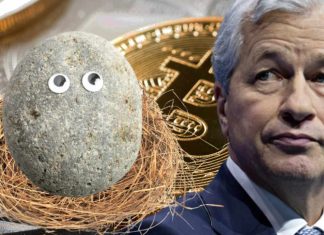 JPMorgan Chase CEO Jamie Dimon Likens Crypto to Pet Rocks — Calls for More Regulation jpmorgan-chase-ceo-jamie-dimon-likens-crypto-to-pet-rocks-—-calls-for-more-regulation