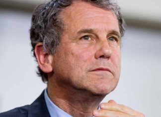 US Senator Calls Sam Bankman-Fried to Answer for Failure of FTX and Alameda Research us-senator-calls-sam-bankman-fried-to-answer-for-failure-of-ftx-and-alameda-research