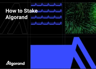 How to Stake Algorand (ALGO) how-to-stake-algorand-(algo)