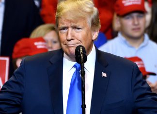 Trump Launches NFT Card Collection — Sweepstake Winners Could Dine or Golf With the 45th President trump-launches-nft-card-collection-—-sweepstake-winners-could-dine-or-golf-with-the-45th-president