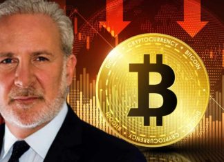 Economist Peter Schiff Warns Bitcoin May Not Rise When Other Financial Assets Rebound economist-peter-schiff-warns-bitcoin-may-not-rise-when-other-financial-assets-rebound