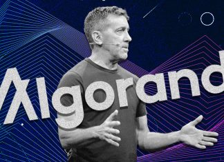 Exclusive interview: Algorand interim CEO Sean Ford says “Our time is now” exclusive-interview:-algorand-interim-ceo-sean-ford-says-“our-time-is-now”