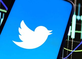 Twitter Adds Crypto Price Charts to Search Results twitter-adds-crypto-price-charts-to-search-results