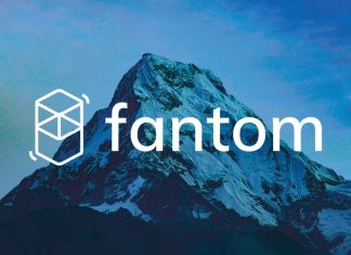 Fantom growth in high ‘triple digits’ despite crypto winter fantom-growth-in-high-‘triple-digits’-despite-crypto-winter