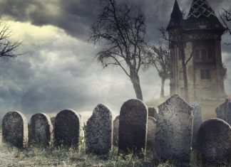 Crypto Supporters Sift Through the Graveyard of Technical Indicators That Failed to Predict Bitcoin’s Bottom crypto-supporters-sift-through-the-graveyard-of-technical-indicators-that-failed-to-predict-bitcoin’s-bottom