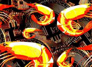 Bitcoin shrimps have accumulated 60K BTC in the last 30 days bitcoin-shrimps-have-accumulated-60k-btc-in-the-last-30-days