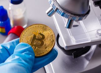 BTC, ETH, ADA, BNB Ranked the Most Watched Crypto Assets in 2022 btc,-eth,-ada,-bnb-ranked-the-most-watched-crypto-assets-in-2022