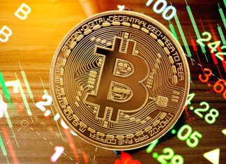 BTC performed better than ARKK, MSTR, COIN despite 65% fall in 2022 btc-performed-better-than-arkk,-mstr,-coin-despite-65%-fall-in-2022