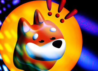 Dogecoin-rival Bonk records 380% gains since turn of year dogecoin-rival-bonk-records-380%-gains-since-turn-of-year