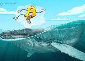 BTC price forms new support at $16.8K as Bitcoin lures ‘mega whales’ btc-price-forms-new-support-at-$16.8k-as-bitcoin-lures-‘mega-whales’