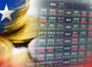 Cryptocurrency Rose Ranks in Popularity as Investment Option in Chile in 2022 cryptocurrency-rose-ranks-in-popularity-as-investment-option-in-chile-in-2022
