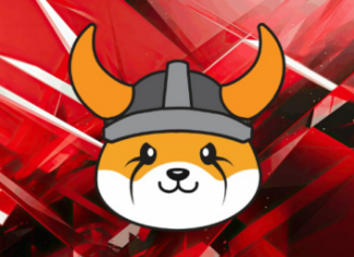 Floki Inu Dull, Motionless Following Binance Metaverse Integration – Here’s Why floki-inu-dull,-motionless-following-binance-metaverse-integration-–-here’s-why