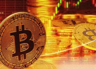 Bitcoin back above $28k; commands 49% of market share as altcoins struggle bitcoin-back-above-$28k;-commands-49%-of-market-share-as-altcoins-struggle