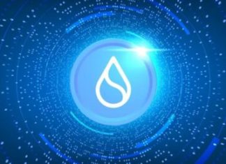 Sui Foundation Refutes Claims Of Dumping Locked Staking Rewards On Binance sui-foundation-refutes-claims-of-dumping-locked-staking-rewards-on-binance