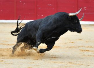 Compound (COMP) Blasts Off With 113% Rise In Two-Week Rally, What’s Behind The Surge? compound-(comp)-blasts-off-with-113%-rise-in-two-week-rally,-what’s-behind-the-surge?