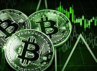 Fidelity, VanEck, and more refile spot Bitcoin ETF applications after reports of SEC rejections fidelity,-vaneck,-and-more-refile-spot-bitcoin-etf-applications-after-reports-of-sec-rejections
