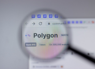 From Polygon NFT Wins To MATIC Gains: Understanding The Connection from-polygon-nft-wins-to-matic-gains:-understanding-the-connection