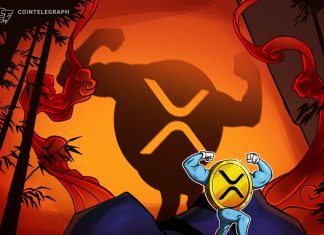 SEC’s appeal won’t be a setback for XRP holders — Pro XRP lawyer sec’s-appeal-won’t-be-a-setback-for-xrp-holders-—-pro-xrp-lawyer
