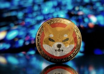 binance-approves-shiba-inu-as-collateral:-what-does-this-signal-for-shib’s-future?