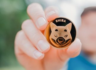 Shiba Inu Price Poised To Reach $0.01 With Shibarium Upgrade, These CEOs Say shiba-inu-price-poised-to-reach-$0.01-with-shibarium-upgrade,-these-ceos-say