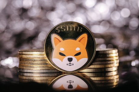 shiba-inu-dao-gets-serious-with-new-advisory-and-investment-firm