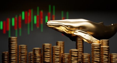 ethereum-whale-avoids-market-crash,-do-they-know-something-you-don’t?