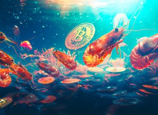 Bitcoin shrimp ramp up accumulation, signaling shift in market structure bitcoin-shrimp-ramp-up-accumulation,-signaling-shift-in-market-structure