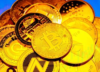 Analyzing the upcoming contenders in the evolving crypto exchange landscape analyzing-the-upcoming-contenders-in-the-evolving-crypto-exchange-landscape