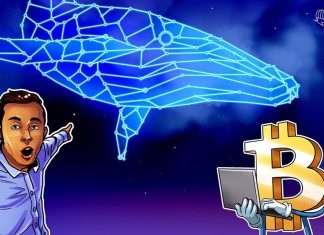 Bitcoin options data shows whales betting big — Will $50K BTC come in January? bitcoin-options-data-shows-whales-betting-big-—-will-$50k-btc-come-in-january?