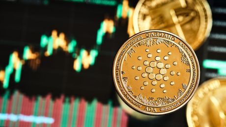 cardano-founder:-we-are-growing-organically-like-bitcoin,-will-ada-prices-boom?