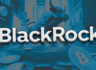 Blackrock bolsters Bitcoin ETF holdings to surpass $1.2 billion milestone blackrock-bolsters-bitcoin-etf-holdings-to-surpass-$1.2-billion-milestone