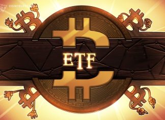 Bitwise Bitcoin ETF wallet attracts inscriptions and rare sats donations bitwise-bitcoin-etf-wallet-attracts-inscriptions-and-rare-sats-donations