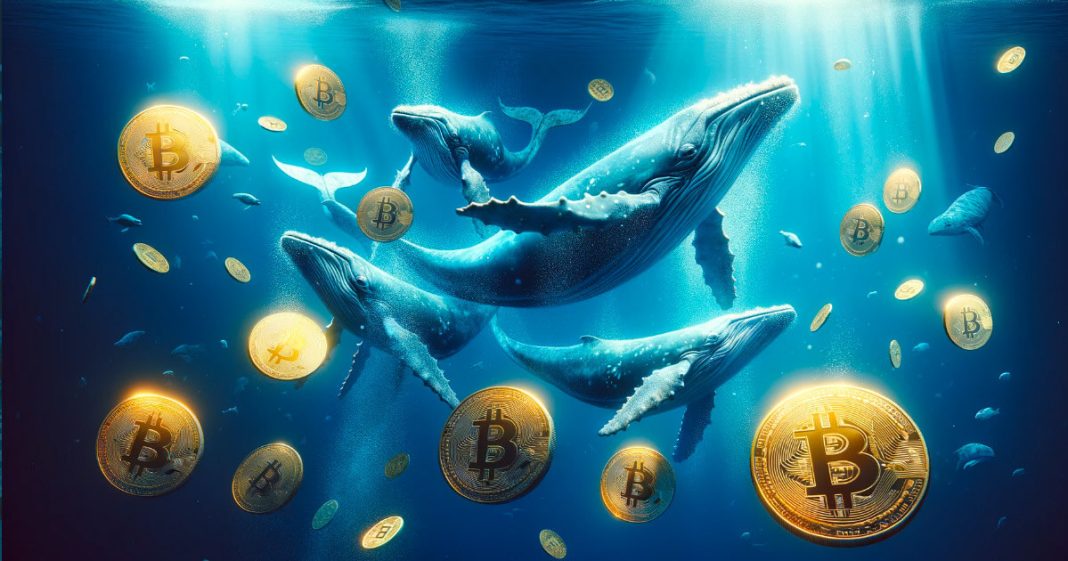 bitcoin’s-big-fish:-how-bitfinex-whales-are-quietly-shaping-market-trends