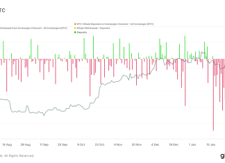 Whale entities withdraw 100,000 BTC from exchanges in two weeks whale-entities-withdraw-100,000-btc-from-exchanges-in-two-weeks