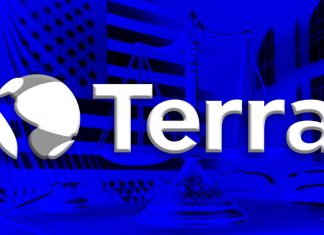 Terraform Labs filed for bankruptcy to protect against potential SEC money judgment terraform-labs-filed-for-bankruptcy-to-protect-against-potential-sec-money-judgment