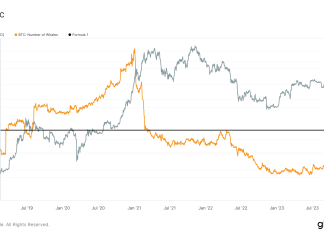 Bitcoin whales on the rise as numbers hit three-year high as ETFs join cohort bitcoin-whales-on-the-rise-as-numbers-hit-three-year-high-as-etfs-join-cohort