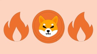 shiba-inu-could-see-a-2,100%-run-if-this-happens