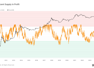Bitcoin’s surge to yearly high marked 99.6% of its supply in profit bitcoin’s-surge-to-yearly-high-marked-99.6%-of-its-supply-in-profit