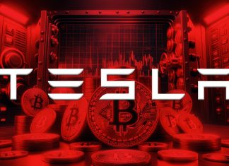 Tesla and SpaceX’s Bitcoin holdings unveiled by Arkham Intelligence tesla-and-spacex’s-bitcoin-holdings-unveiled-by-arkham-intelligence