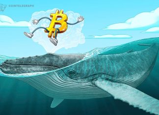 Bitcoin whales not selling despite $70K — BTC holdings growth ‘is going parabolic’ bitcoin-whales-not-selling-despite-$70k-—-btc-holdings-growth-‘is-going-parabolic’