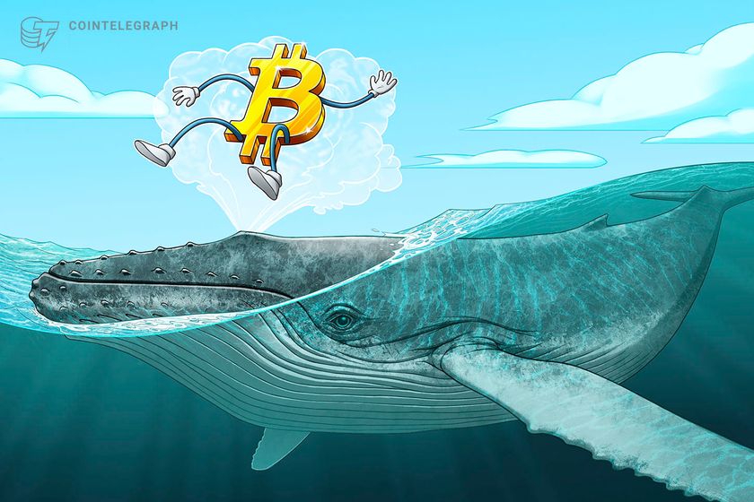 bitcoin-whales-not-selling-despite-$70k-—-btc-holdings-growth-‘is-going-parabolic’