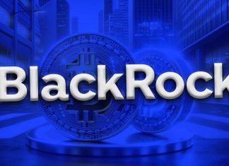 BlackRock sees Bitcoin as integral part of financial system – little interest in other crypto blackrock-sees-bitcoin-as-integral-part-of-financial-system-–-little-interest-in-other-crypto