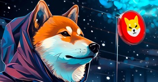 crypto-expert-predicts-massive-shiba-inu-run-as-price-mirrors-2021