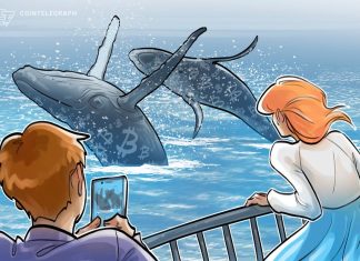 What are Bitcoin whales and how to spot them? what-are-bitcoin-whales-and-how-to-spot-them?