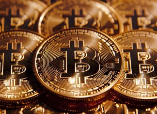 Bitcoin maintains gains despite bloodbath across crypto, equities after Minneapolis Fed comments bitcoin-maintains-gains-despite-bloodbath-across-crypto,-equities-after-minneapolis-fed-comments