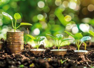 Navigating the Web3 startup landscape with limited funds navigating-the-web3-startup-landscape-with-limited-funds