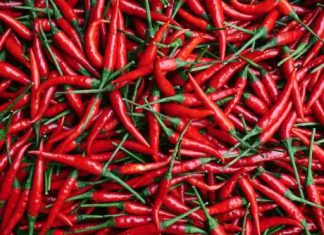 Red Hot Chiliz: Analyst Predicts 4x Your Money With Upcoming Breakout red-hot-chiliz:-analyst-predicts-4x-your-money-with-upcoming-breakout