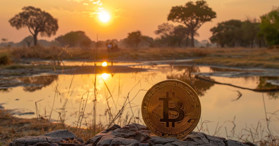 zimbabwe-launches-study-to-map-and-regulate-crypto-industry