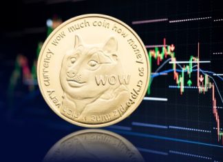 DOGE On The Move: Rebound To End 1-Day Bearish Move? doge-on-the-move:-rebound-to-end-1-day-bearish-move?