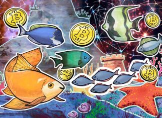 Bitcoin’s days below $70K are numbered as traders cite BTC’s swing low as the bottom bitcoin’s-days-below-$70k-are-numbered-as-traders-cite-btc’s-swing-low-as-the-bottom